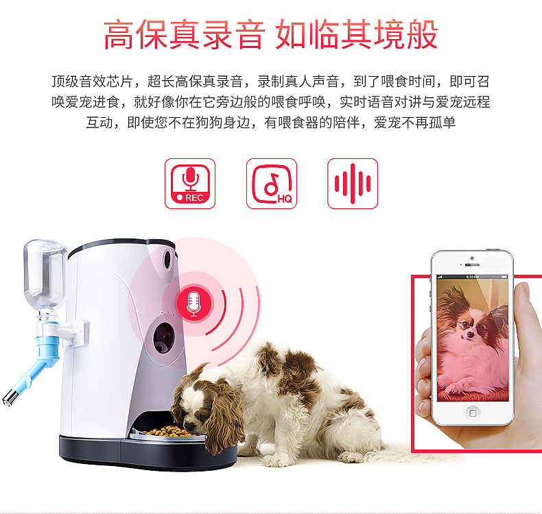 宠物喂食器详情