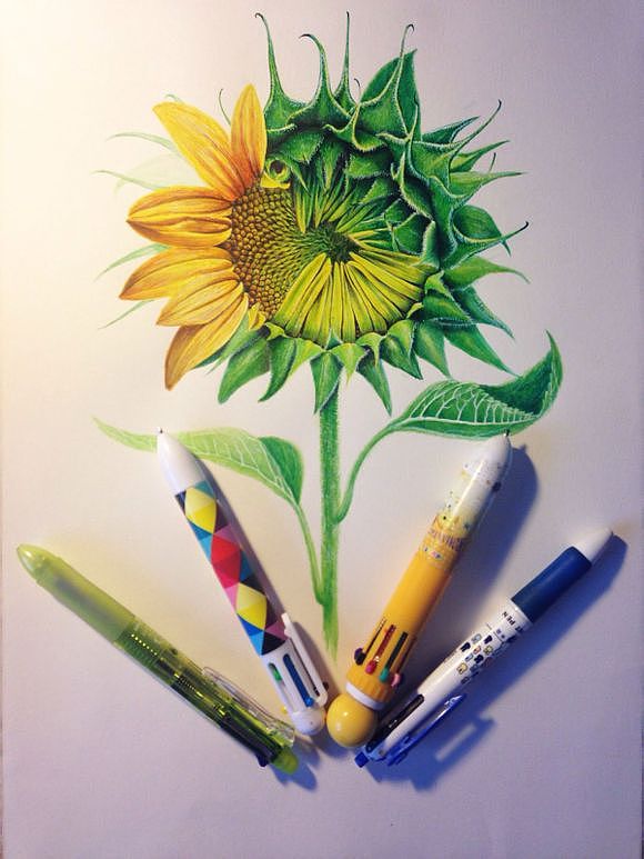 oy手绘:希望之花