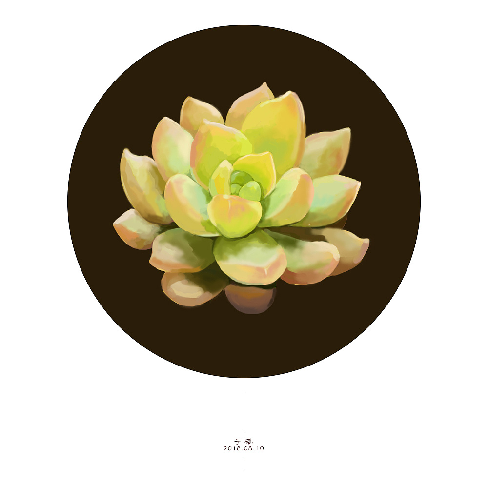 手绘多肉