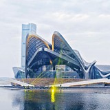 AlingYang的头像