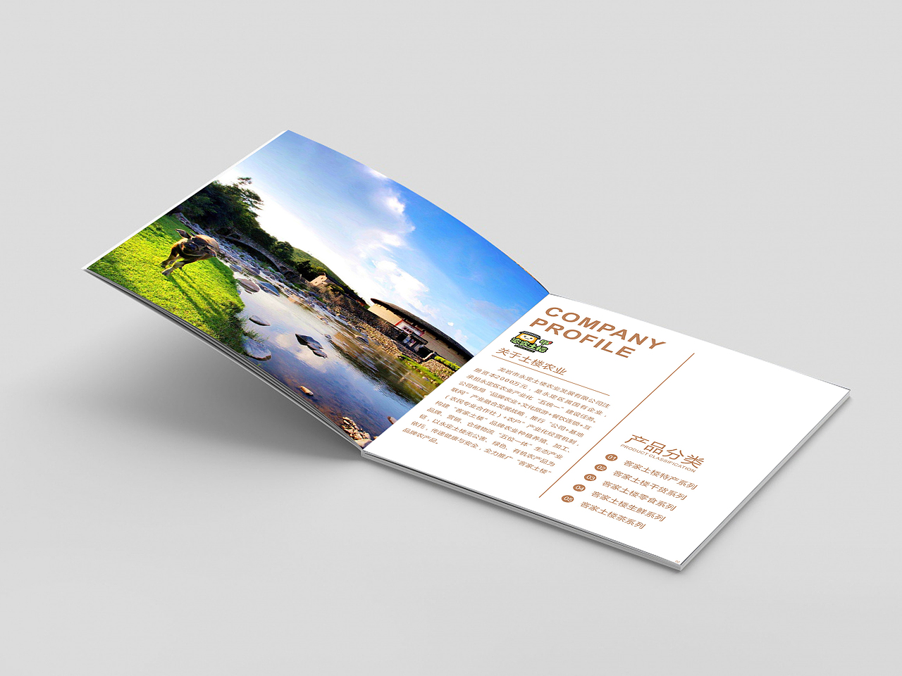 企业产品手册（图ZMTQyMTIyNTI4） - 宣传物料 - 站酷设计师羽木丘插画原创素材 - 站酷ZCOOL