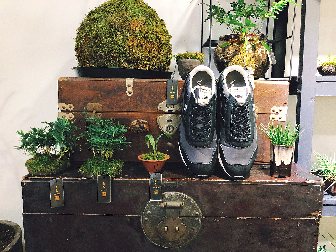 WALSH SS19發(fā)布會(huì)（圖ZMTk1ODkxMTQ0） - 其他 - 站酷設(shè)計(jì)師胡冠楠Shannan原創(chuàng)素材 - 站酷ZCOOL