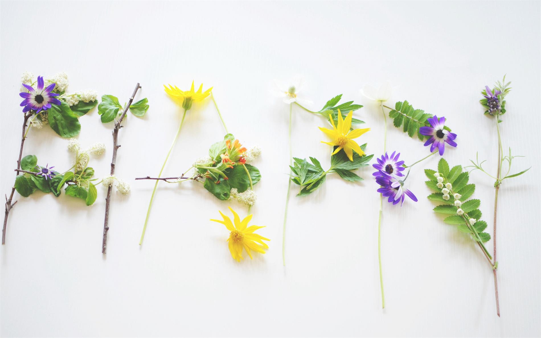 晓晓15155107537的个人主页（背景预览） - 主页背景设置 - 站酷设计师晓晓15155107537原创素材 - 站酷ZCOOL