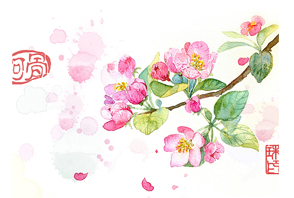 手绘花卉系列——《花草志Ⅱ》（图ZMjI0OTA2OTY=） - 商业插画 - 站酷设计师阿骨AOKI原创素材 - 站酷ZCOOL