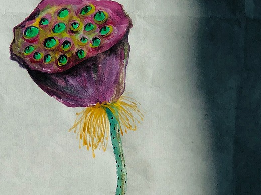 水墨画 紫莲蓬
