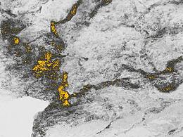 服裝吊牌設(shè)計(jì)