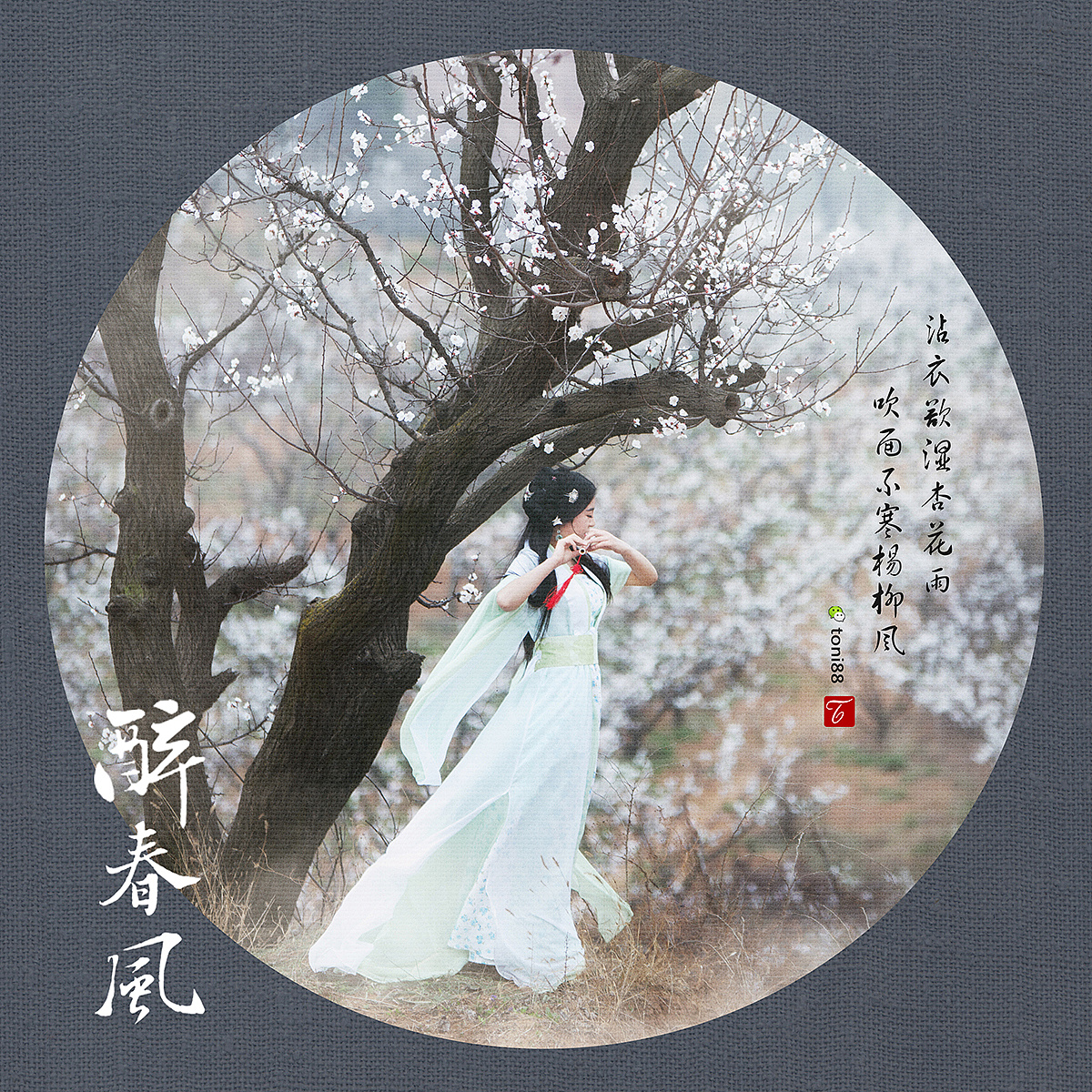【醉春风】