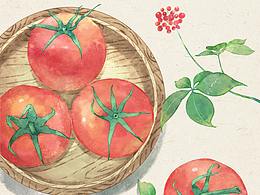 食物插画