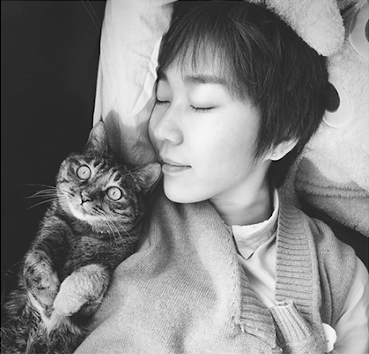 《猫先生和小小人》中文版绘本来咯~