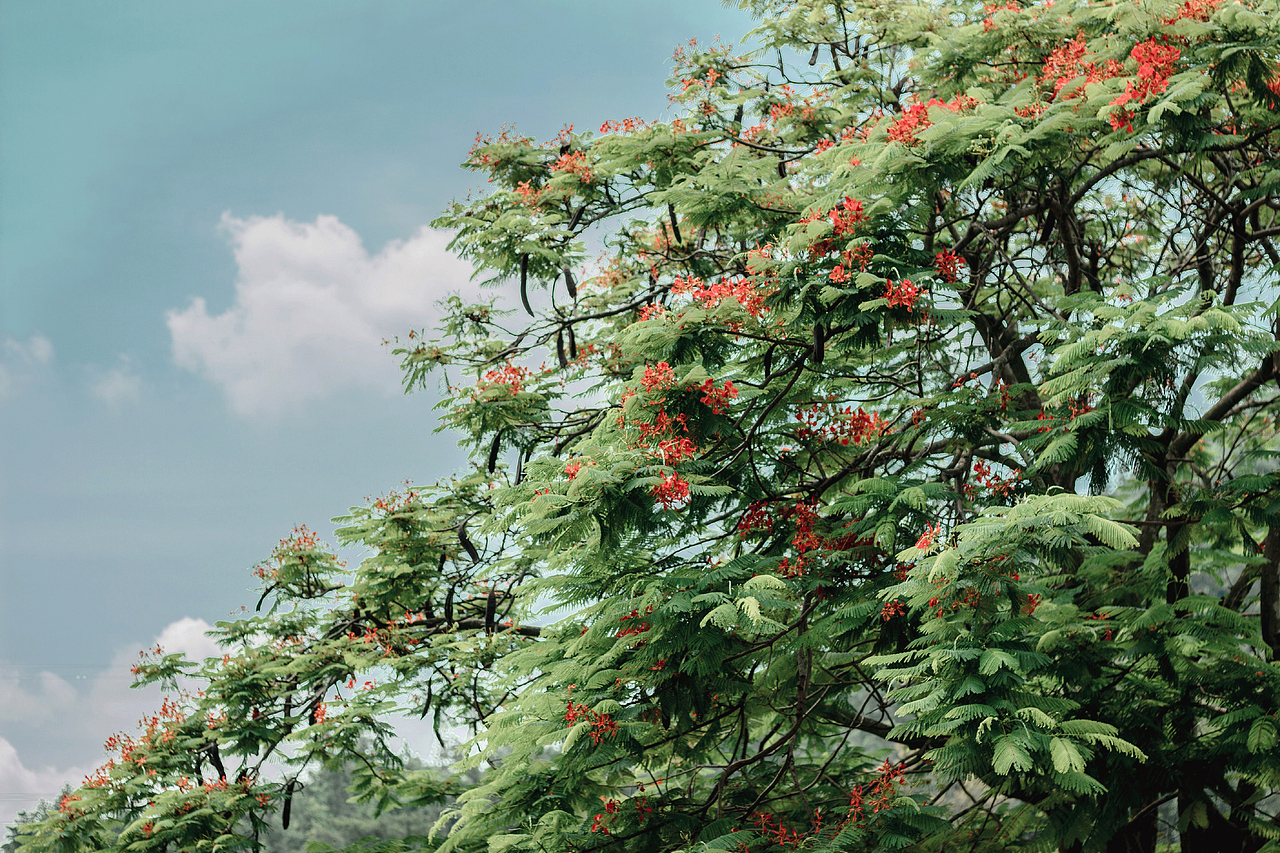 一起去爬山（图ZMjEzNzYwMTMy） - 风光摄影 - 站酷设计师Gardenianer_s原创素材 - 站酷ZCOOL