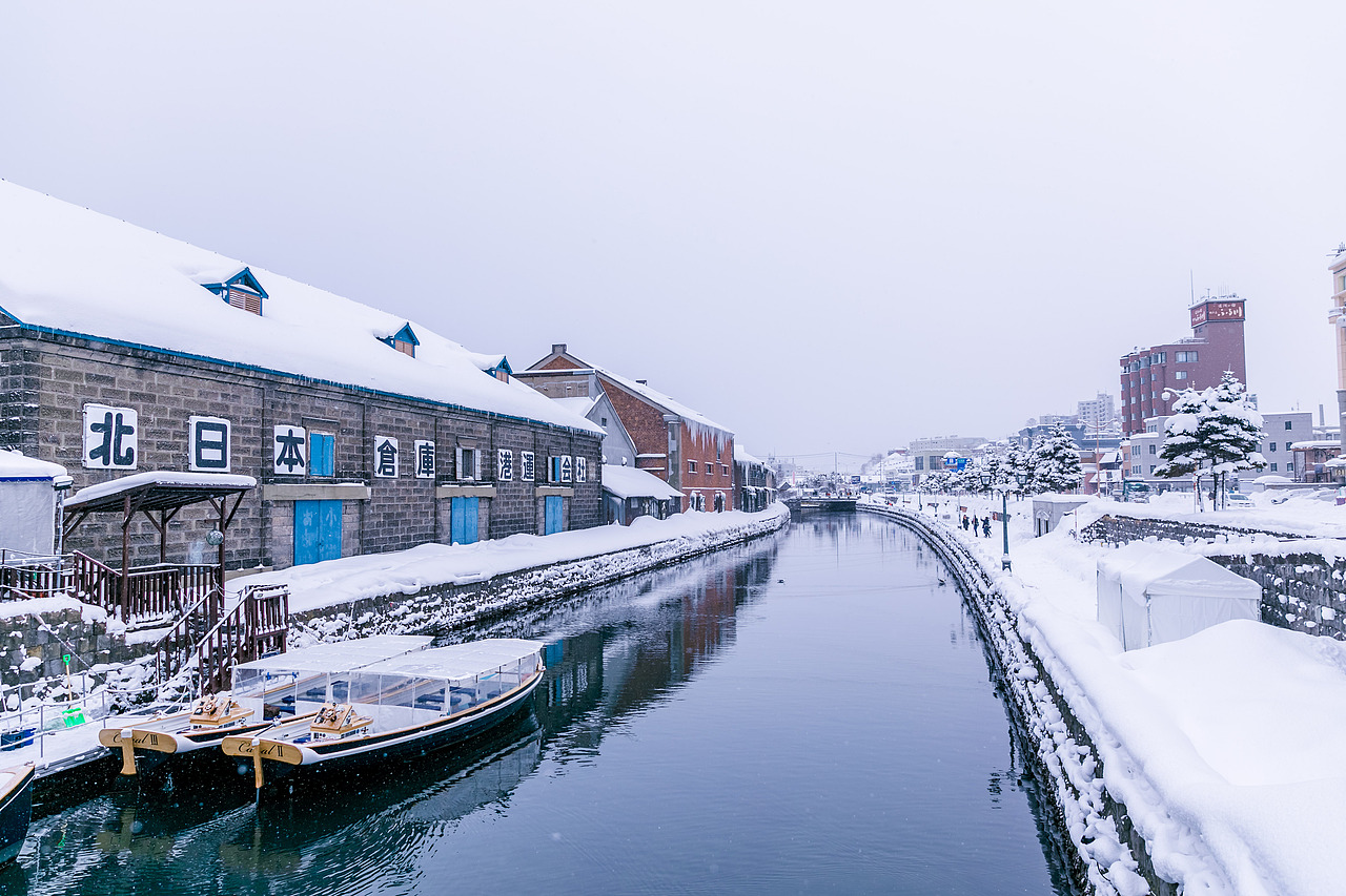 我在北海道滑雪（图ZMTA5Mzk3MDE2） - 短片 - 站酷设计师魏编来了原创素材 - 站酷ZCOOL