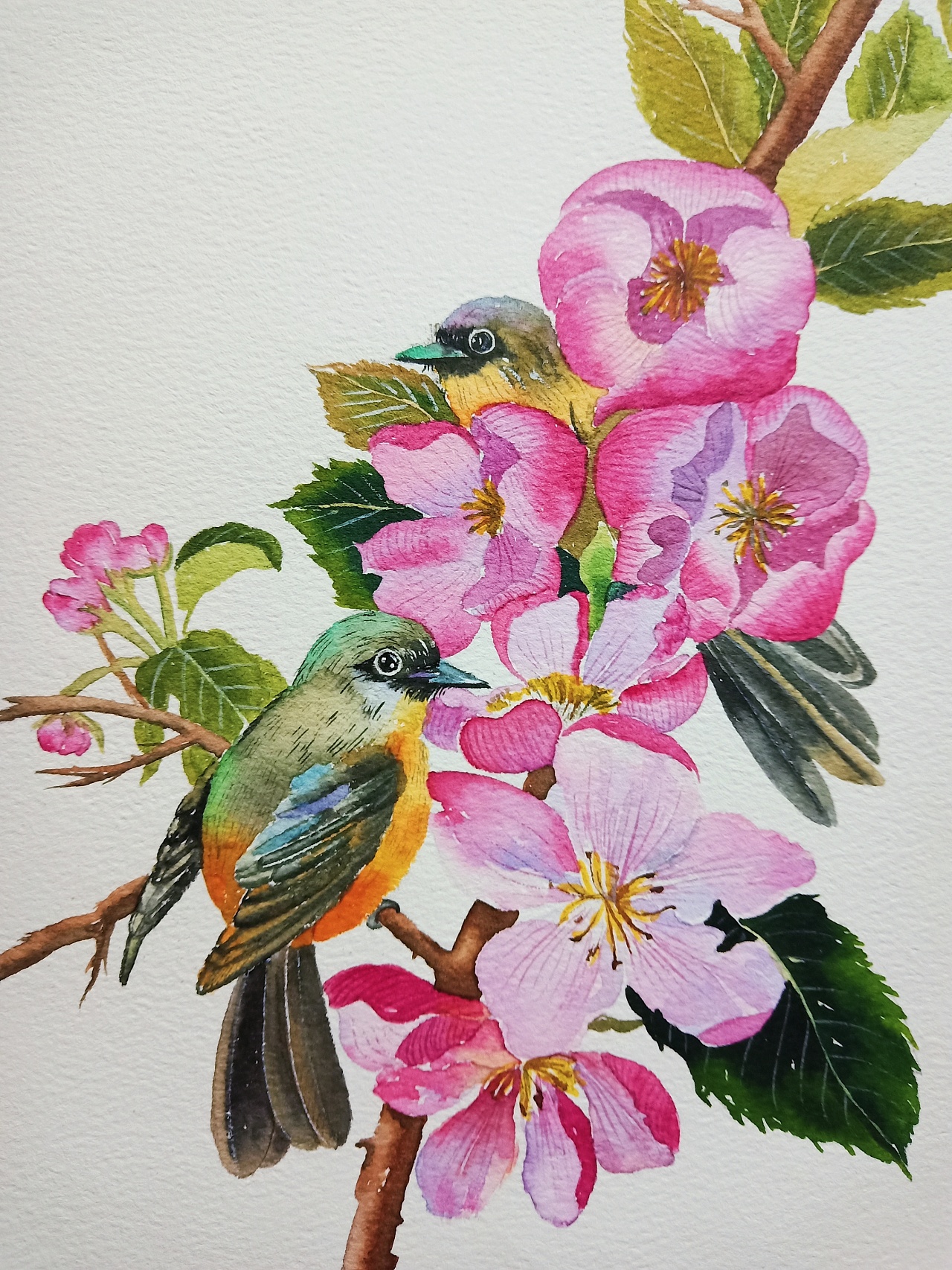 水彩|纯艺术|绘画|木子微chris - 原创作品 - 站酷 (zcool)