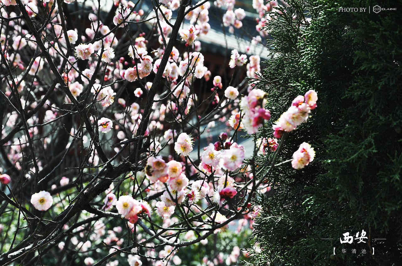 走进历史的尘埃—古都西安