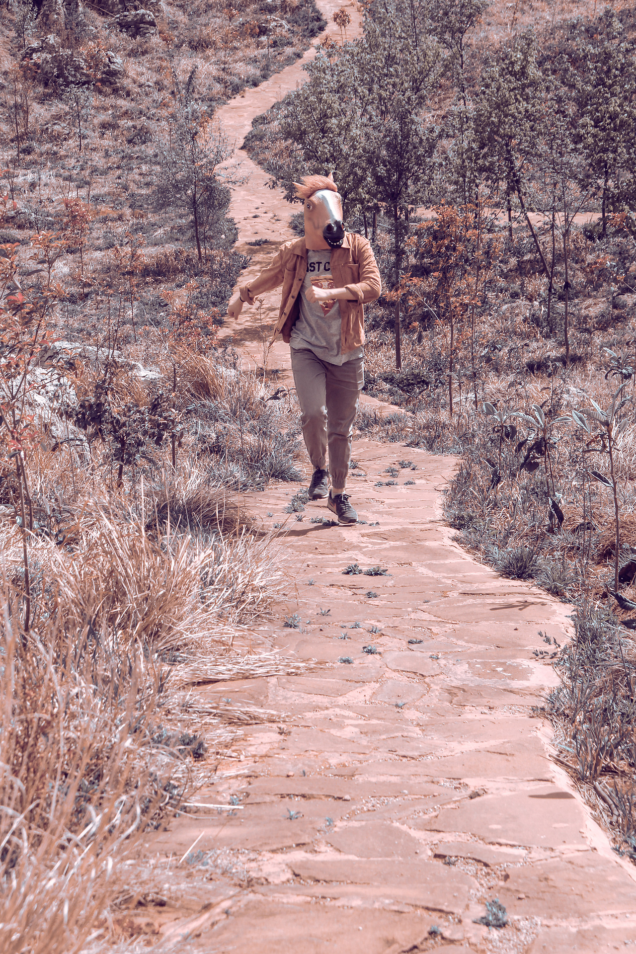 野里 | 姓张的马先生