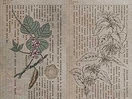 文化特色