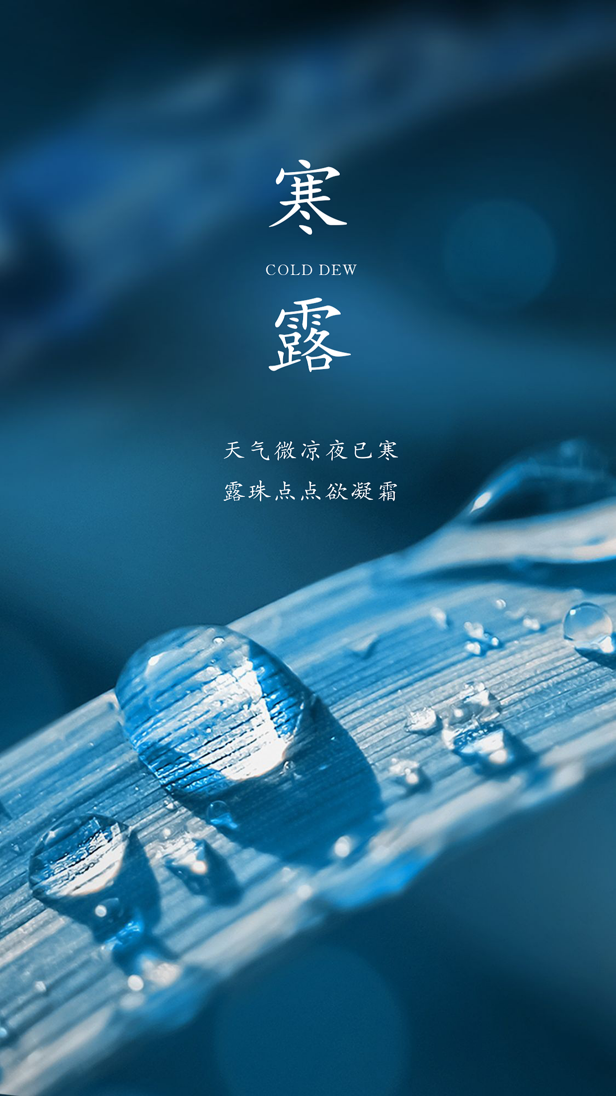 寒露_早安微刊-站酷zcool