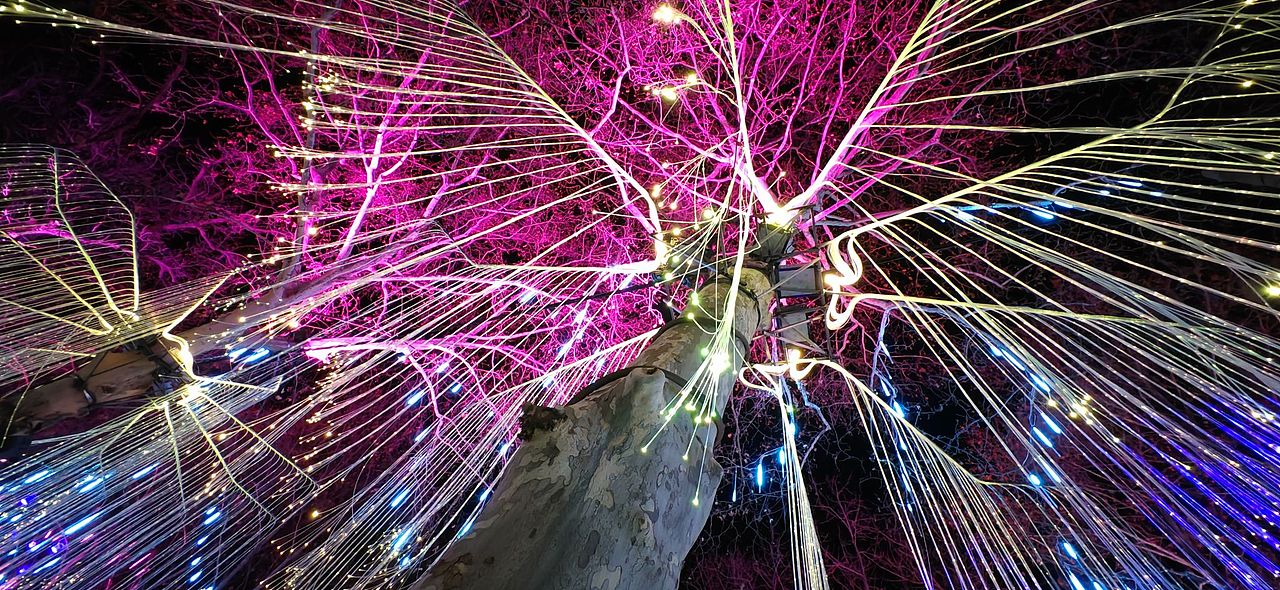 2024滁州琅琊南湖灯会