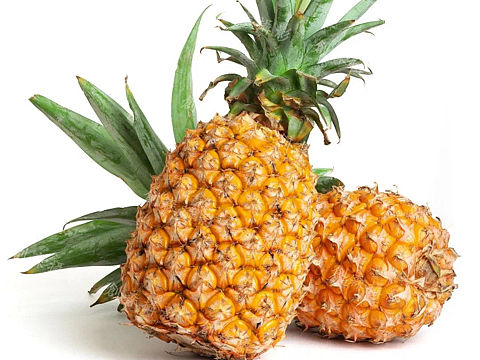 产品摄影 | 热带水果 金钻菠萝 凤梨 金菠萝