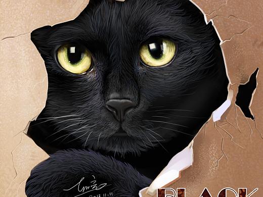 动物插画-诡异的黑猫咪
