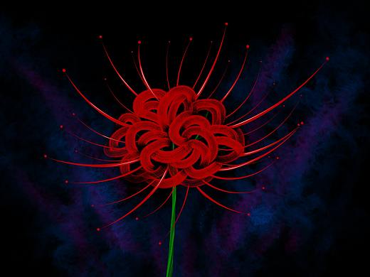 曼珠沙華（個人主頁-ZMzY4MzY2NTI=） - 其他 - 站酷設計師迪西西原創(chuàng)素材 - 站酷ZCOOL