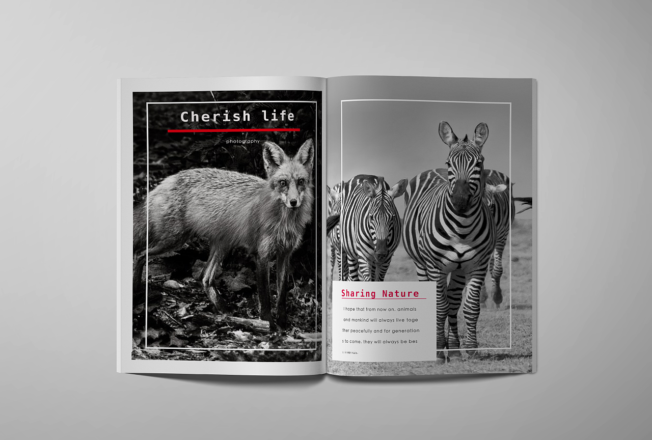 摄影宣传册画册——公益保护野生动物