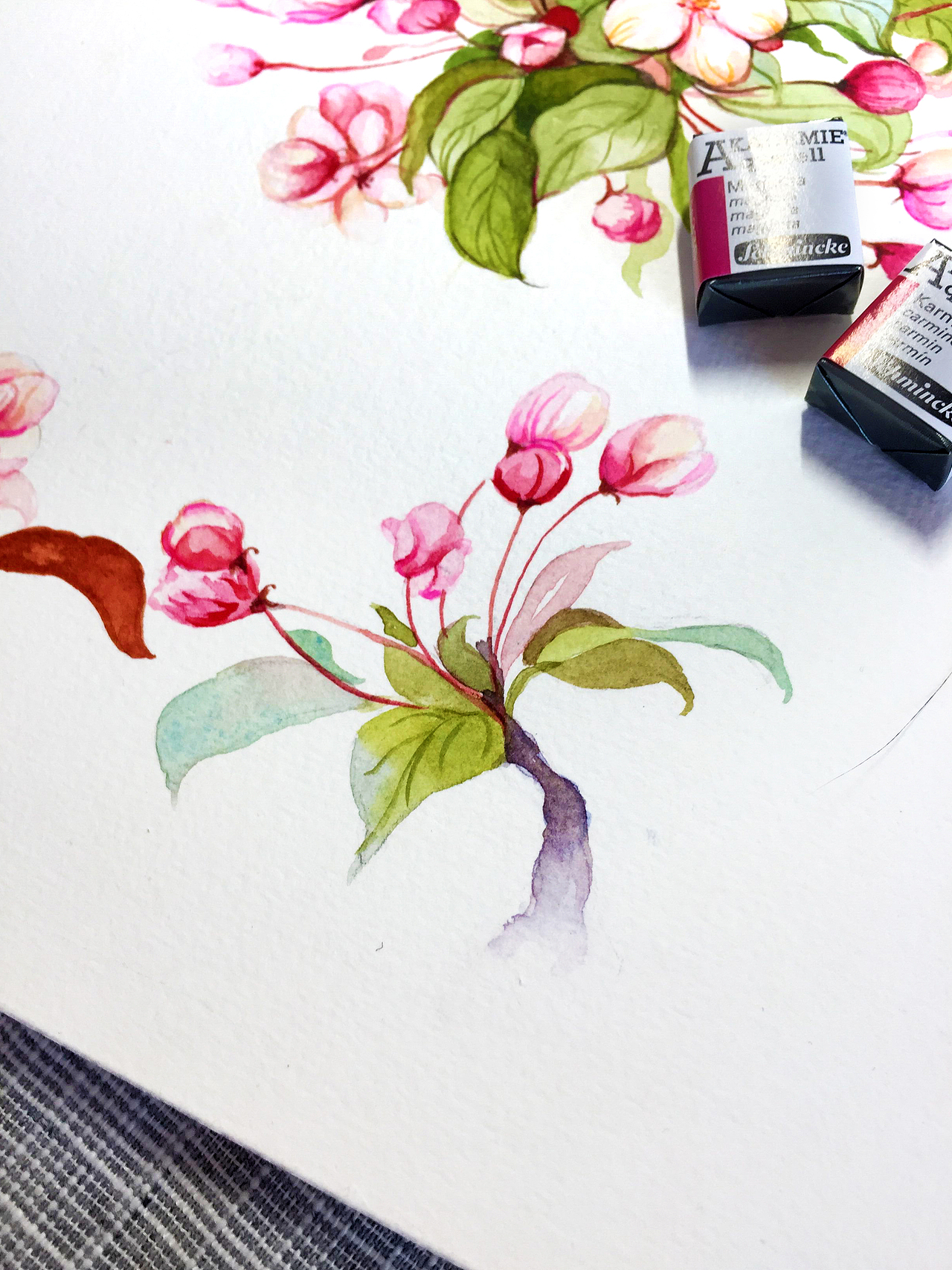 水彩手绘花卉垂丝海棠