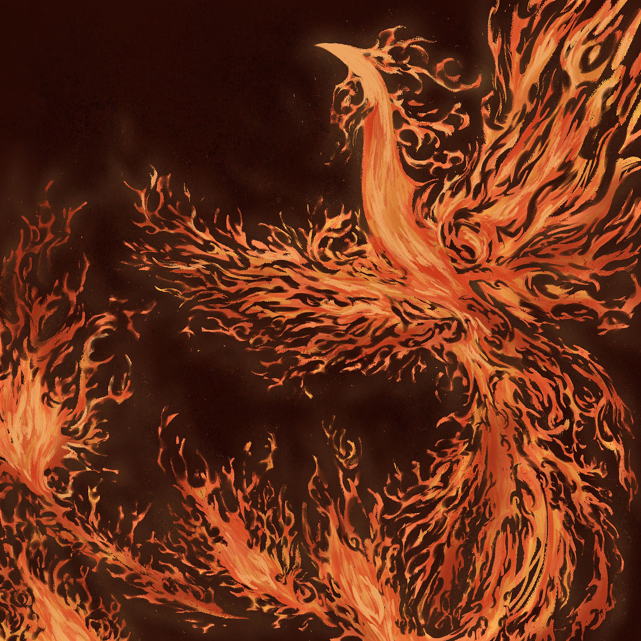 火凤凰|插画|创作习作|木筝呀 - 原创作品 - 站酷 (zcool)