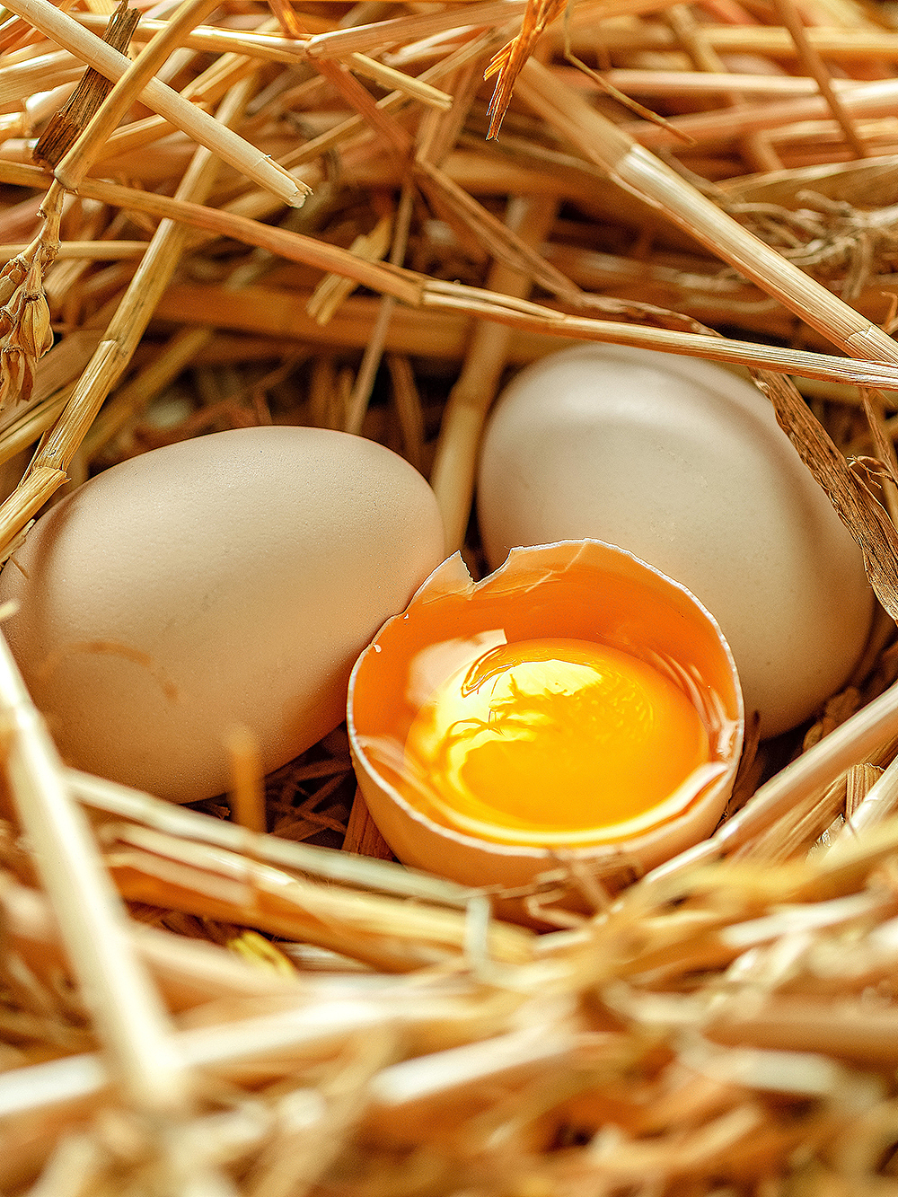 土鸡蛋农副产品拍摄|摄影|产品摄影|茂盛_原创作品-站酷zcool