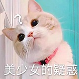 春夏秋冬少个秋的头像