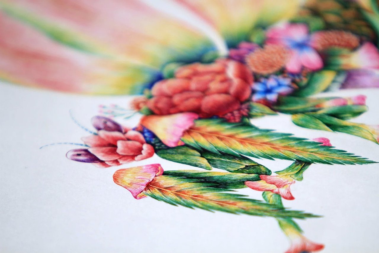 舒展《昆虫记—魔花螳螂》（图ZNDIyNzIzMzY=） - 商业插画 - 站酷设计师舒展原创素材 - 站酷ZCOOL