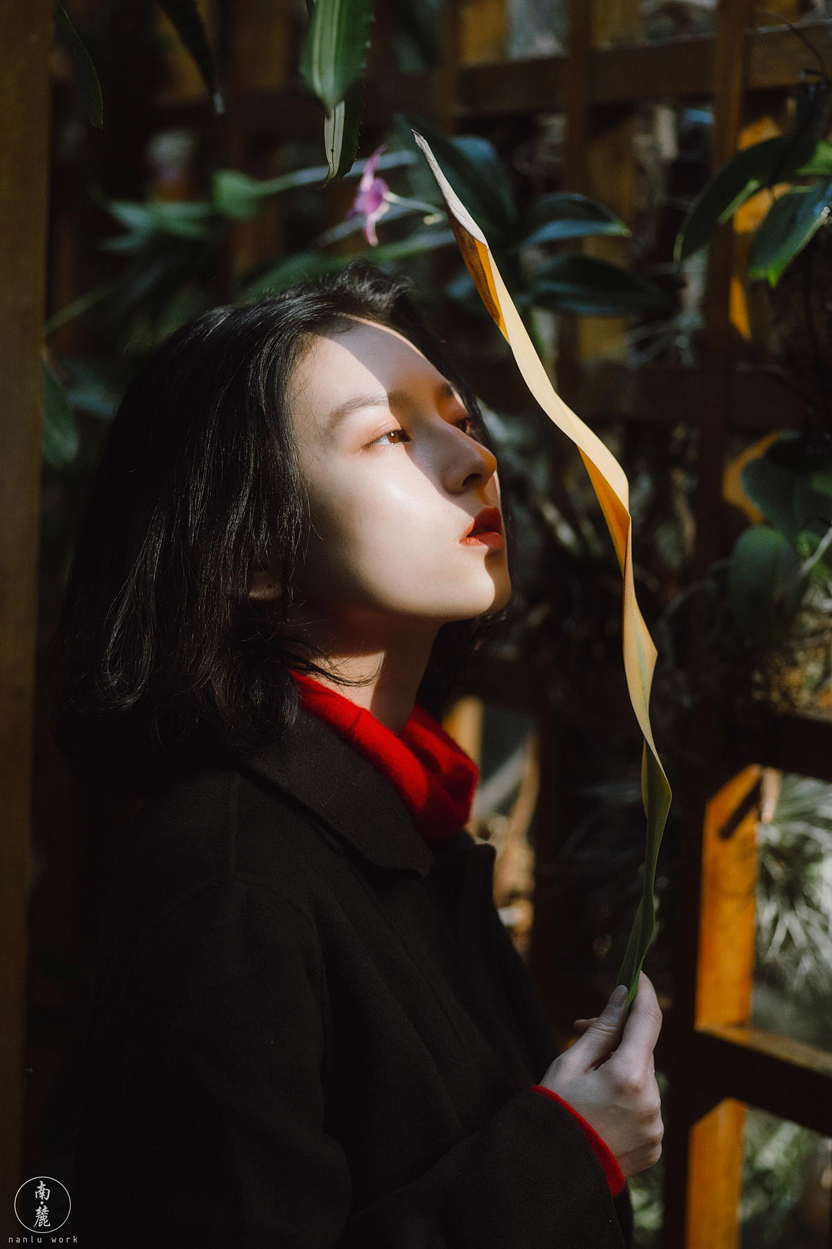 任光阴如何收割