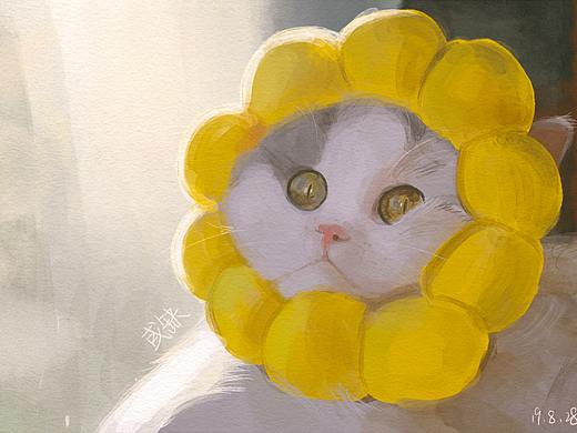 水彩风猫猫