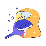 玺雀的头像