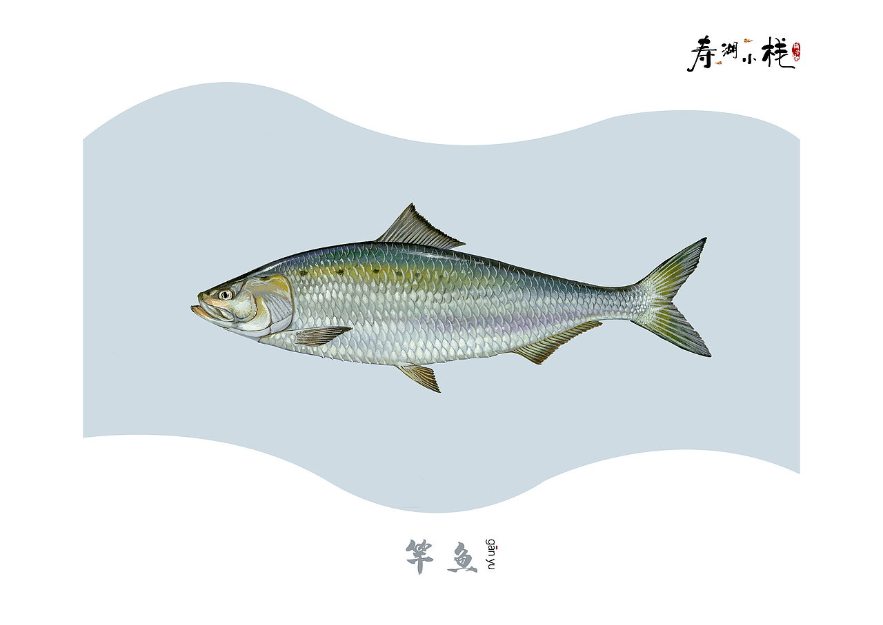 《鱼》（图ZMTYwNDE4Nzk2） - 书籍/画册 - 站酷设计师ANEAL原创素材 - 站酷ZCOOL