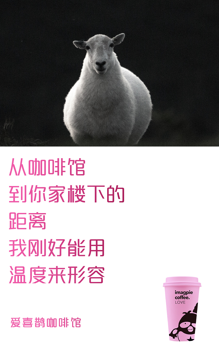 700余个中国喜鹊形象历时12年