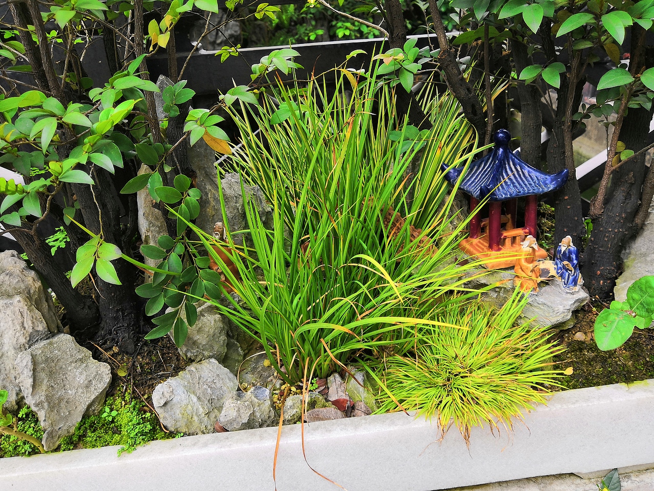 余荫山房 同游（图ZMTYyMzQzOTEy） - 人文/纪实摄影 - 站酷设计师个银两岁星原创素材 - 站酷ZCOOL