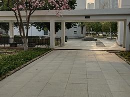 校园