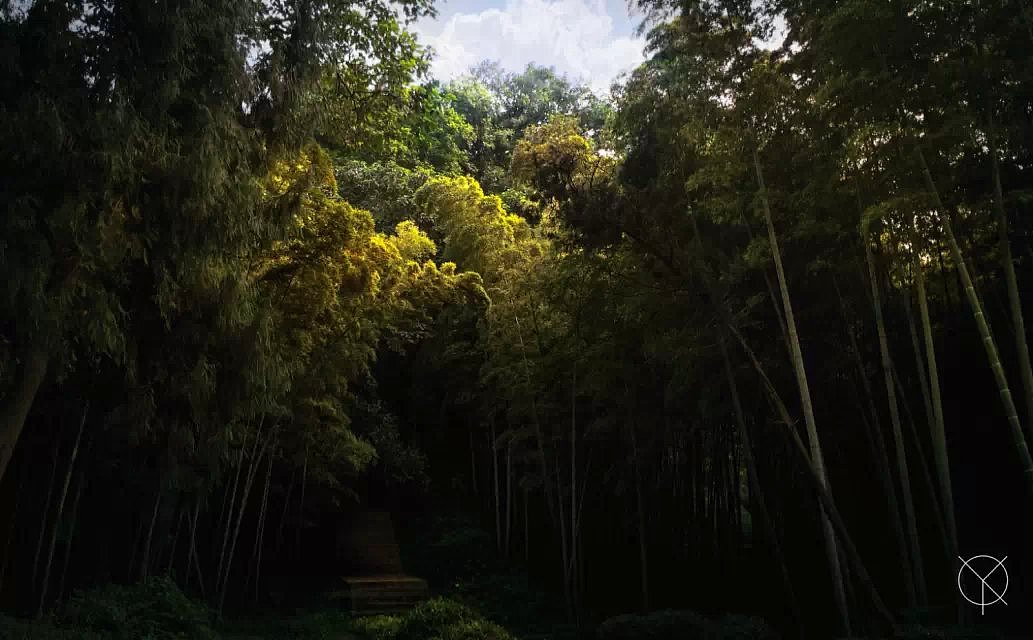 原创合集第②波（图ZNDIzNzcxNDQ=） - 概念设定 - 站酷设计师quancaizhu原创素材 - 站酷ZCOOL