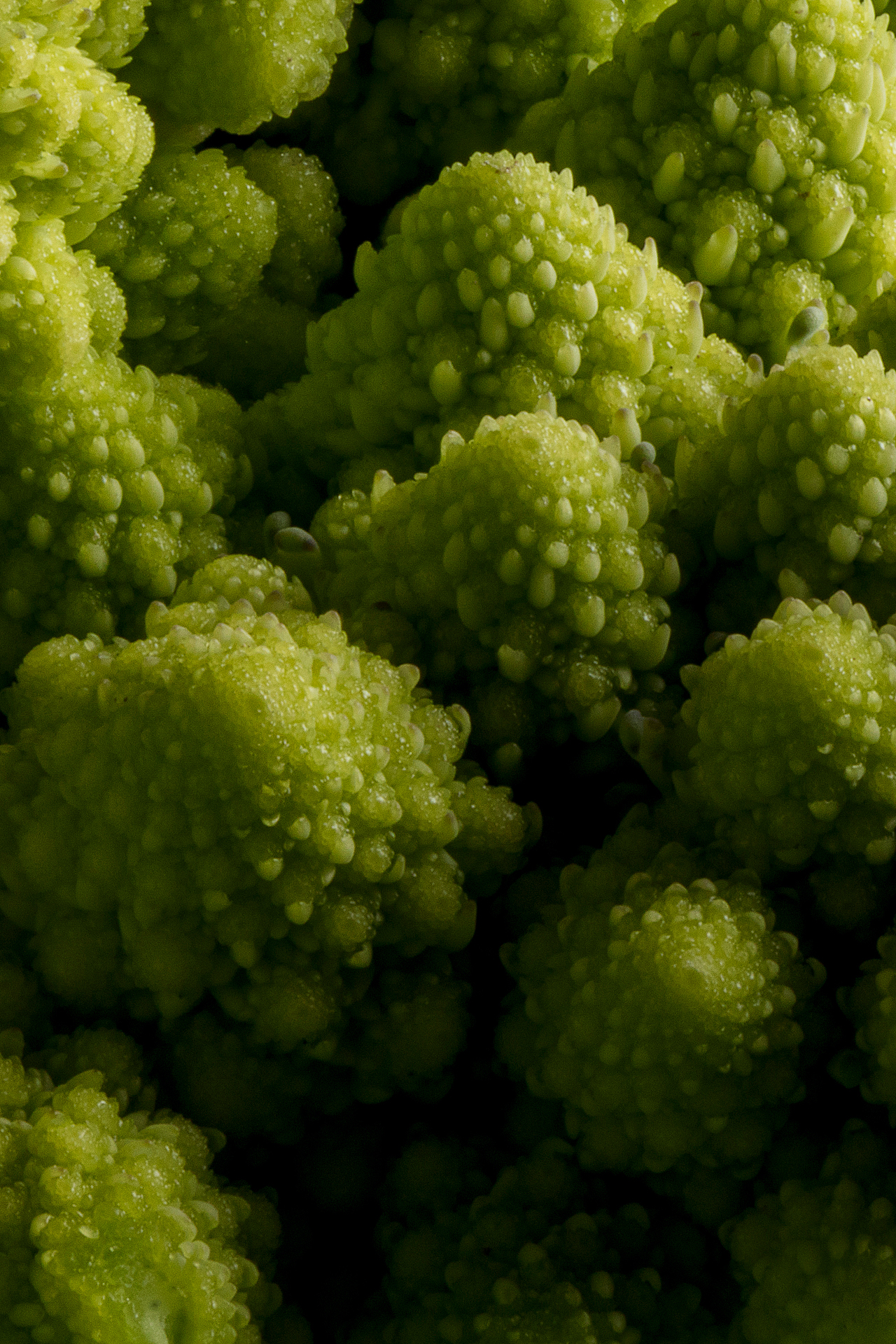 美食摄影 ｜ 「Portrait of food」· 食物肖像（图ZMTY5MzIxMTAw） - 产品摄影 - 站酷设计师大秉创意原创素材 - 站酷ZCOOL