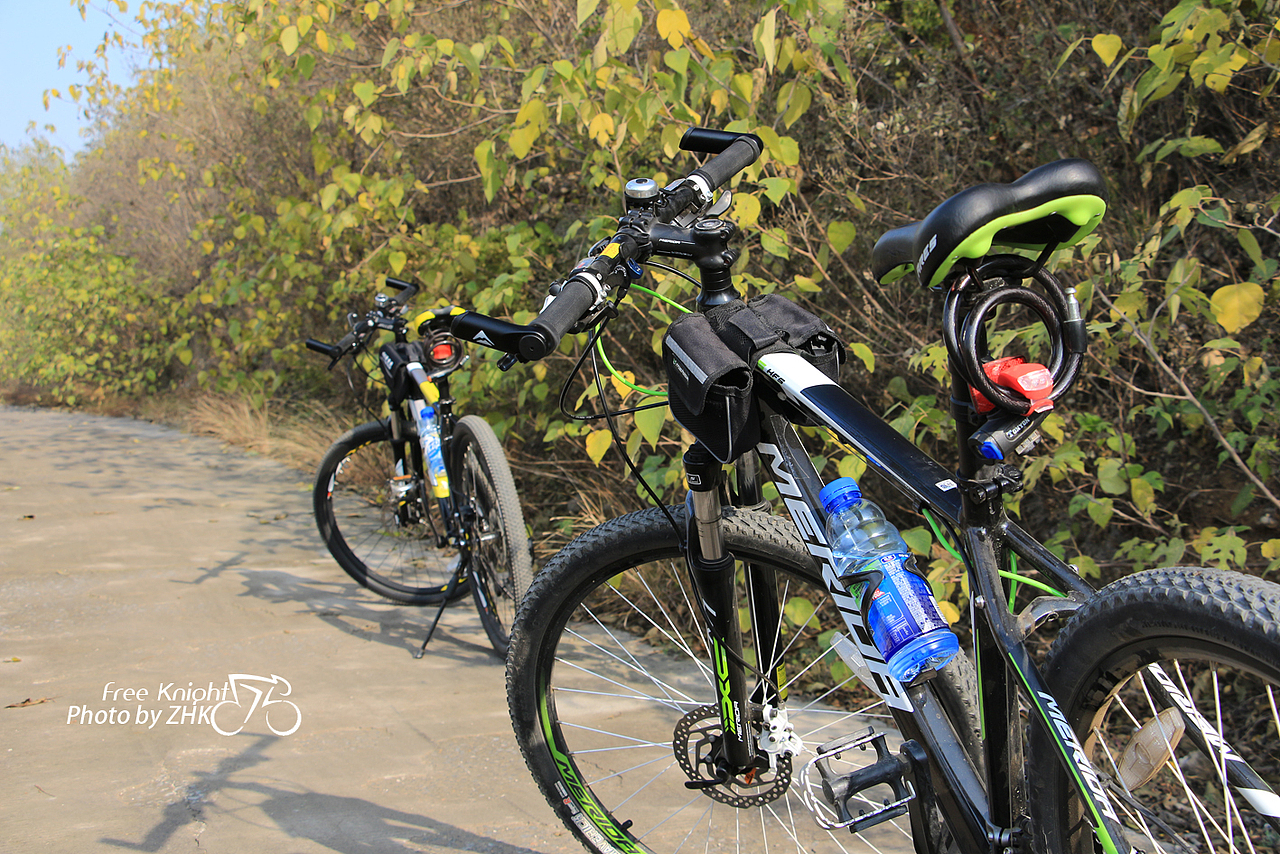 做自己的Free Knight!