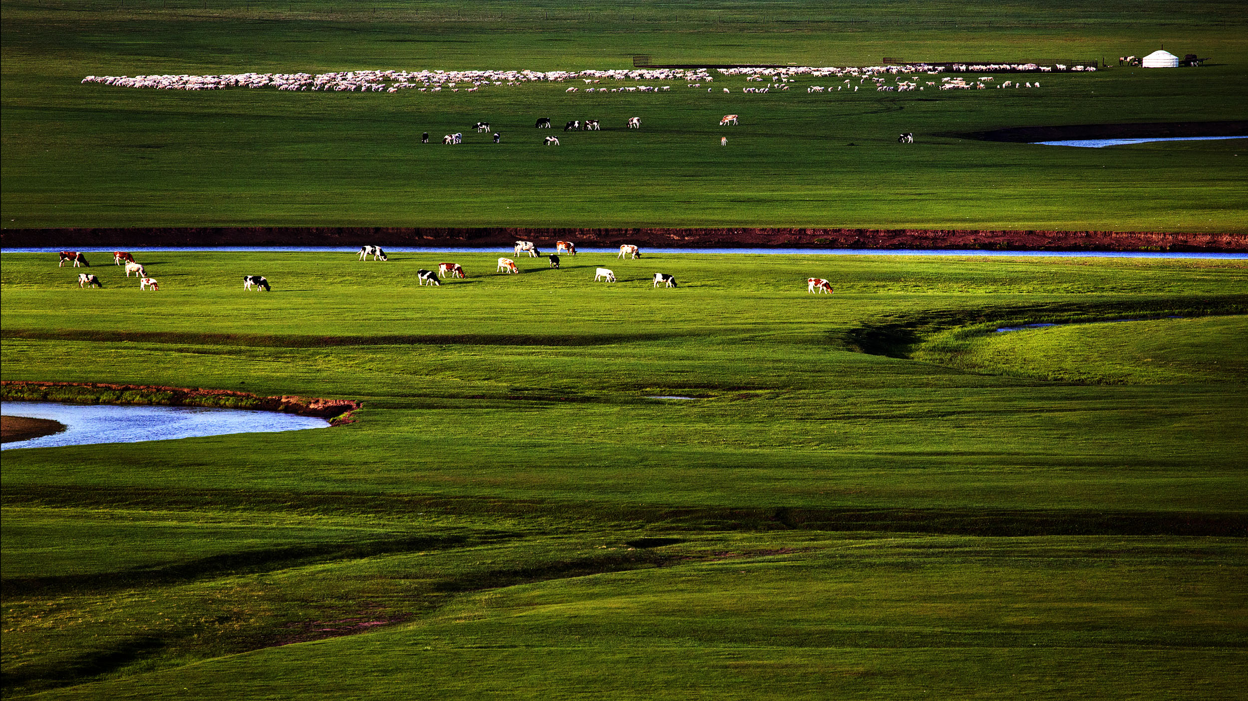 呼伦贝尔大草原 - 站酷 (zcool)