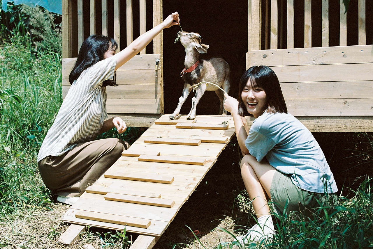 BLOWING（图ZMjkwNTc2ODEy） - 人像摄影 - 站酷设计师一杯白术原创素材 - 站酷ZCOOL