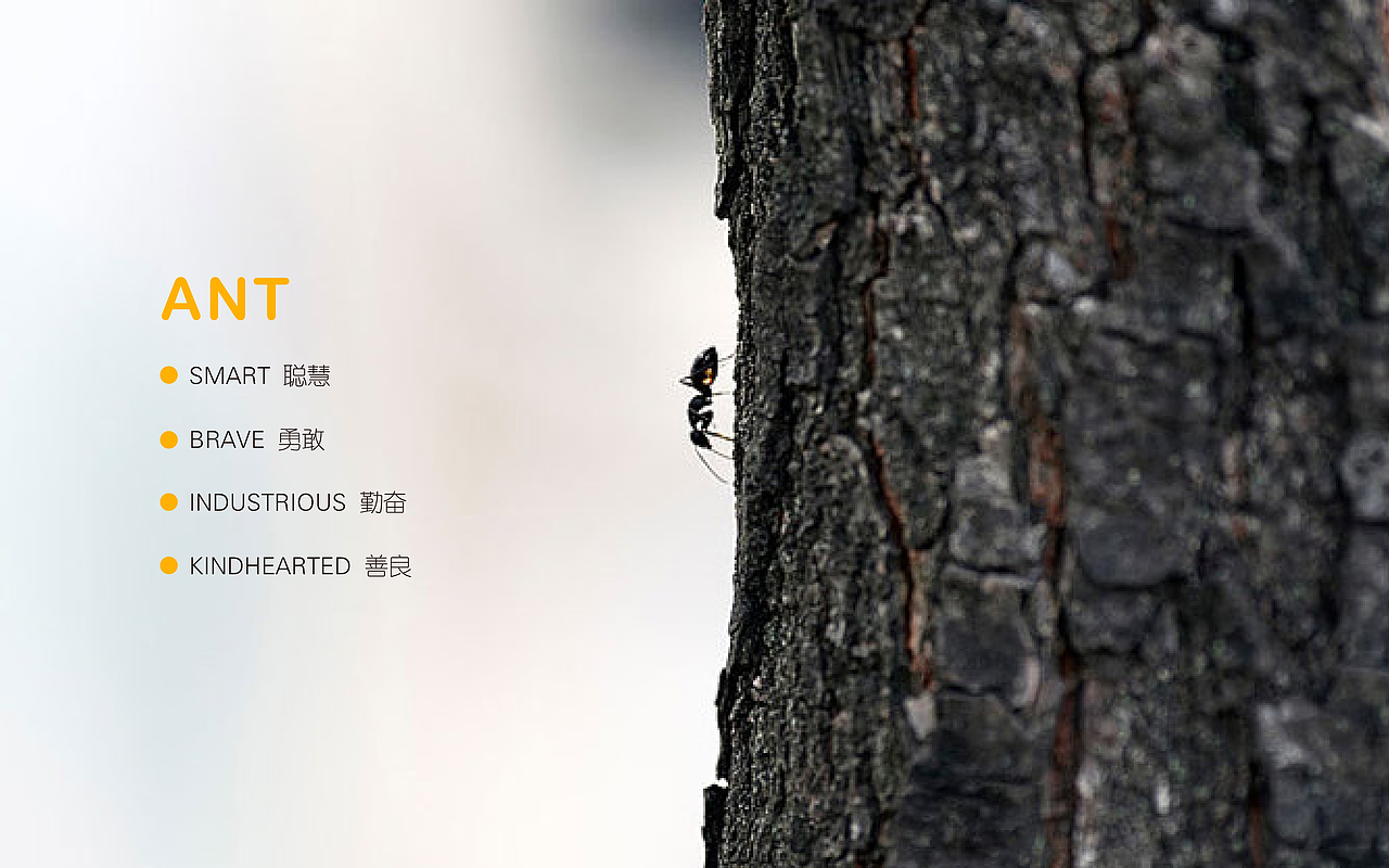 漾品牌｜品牌设计 北京贝尔科教积木英语品牌设计（图ZMTM5ODA3MDIw） - 品牌 - 站酷设计师漾品牌设计原创素材 - 站酷ZCOOL