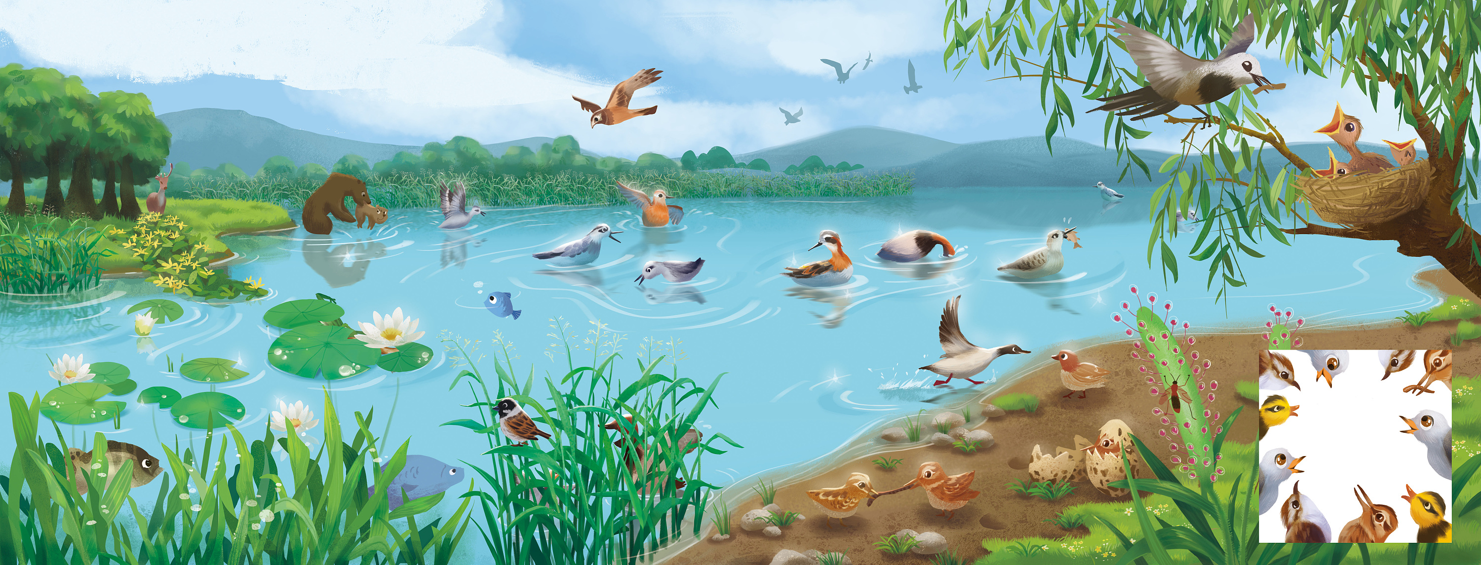 《森林报——夏》