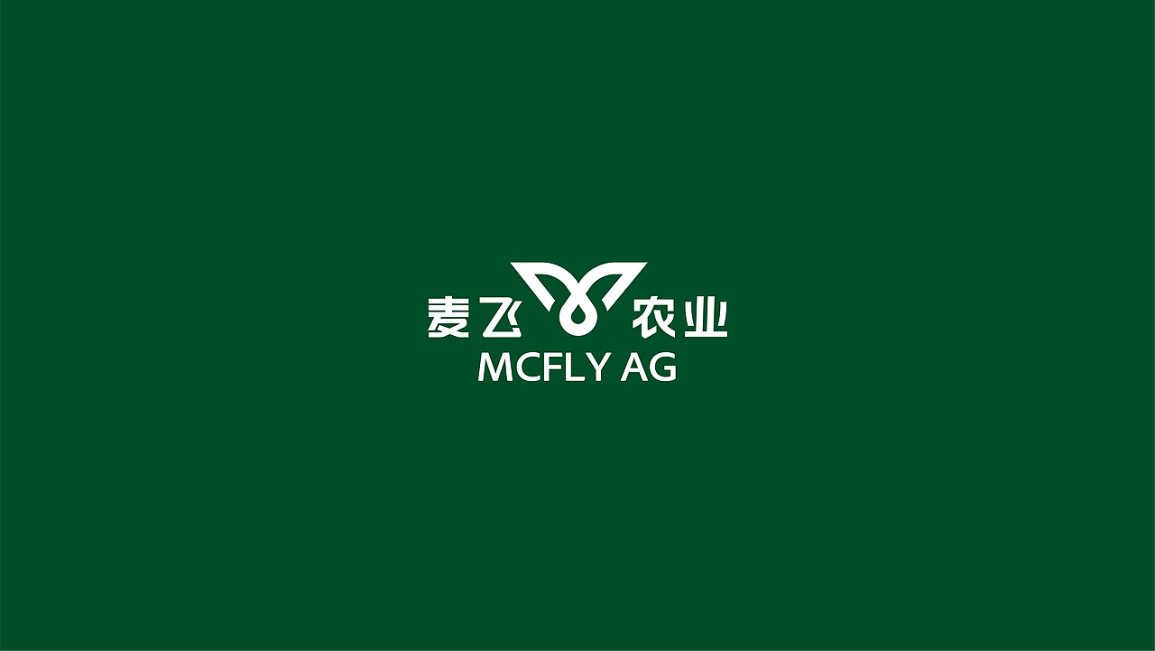 MCFLY-视觉设计