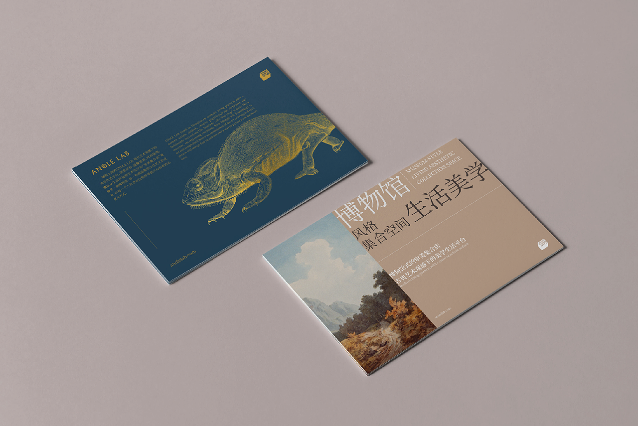 ANOLE LAB(图ZMjgxMjIwNDY4) - 品牌 - 站酷设计师ANNND共和设计原创素材 - 站酷ZCOOL