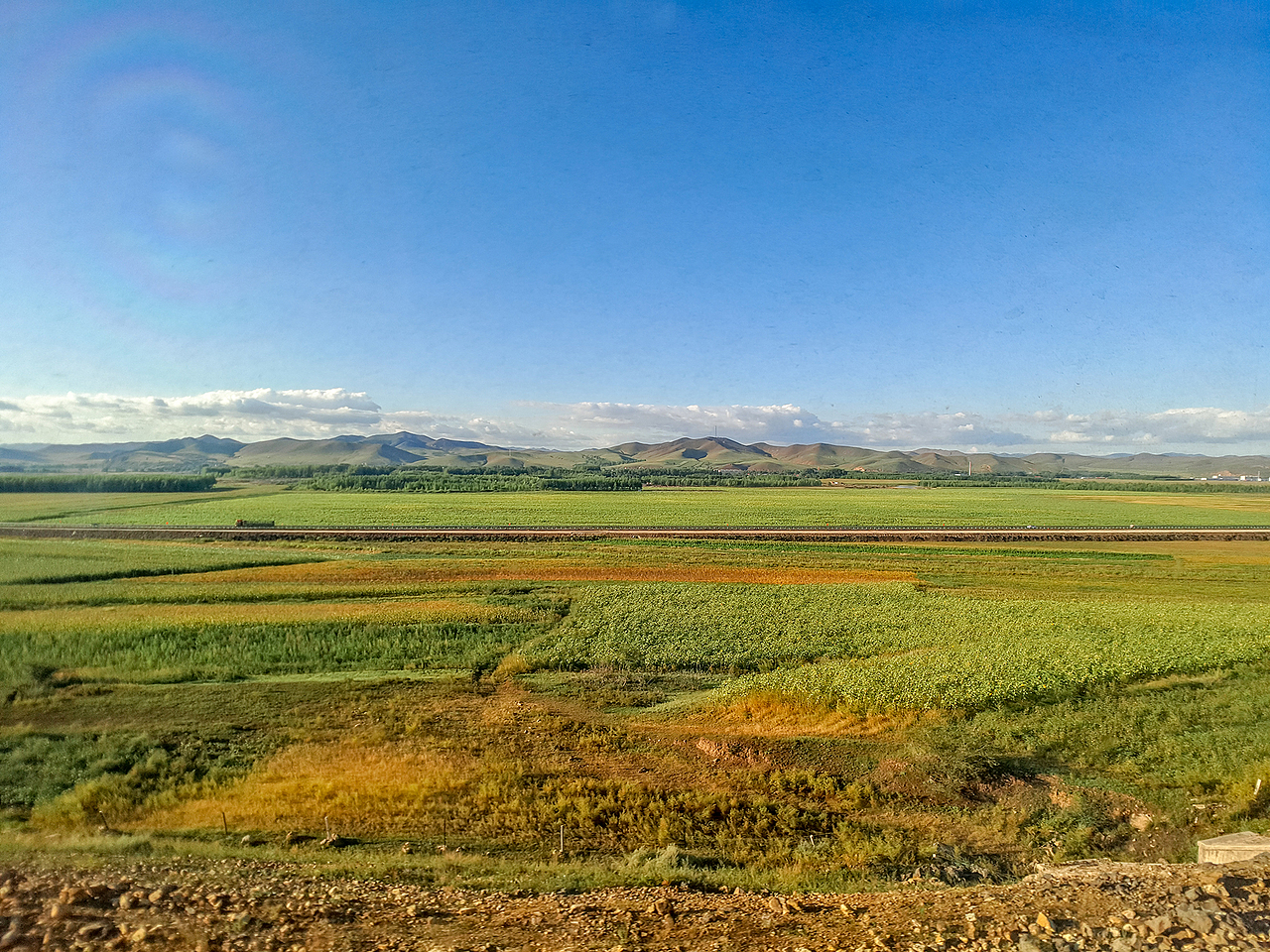 出差途中,火车上拍摄草原风光