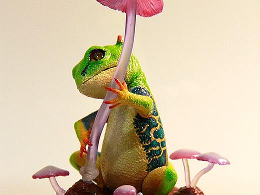 TTwei原创作品小恶魔蜥little devil lizard