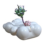 刺刺星球的头像