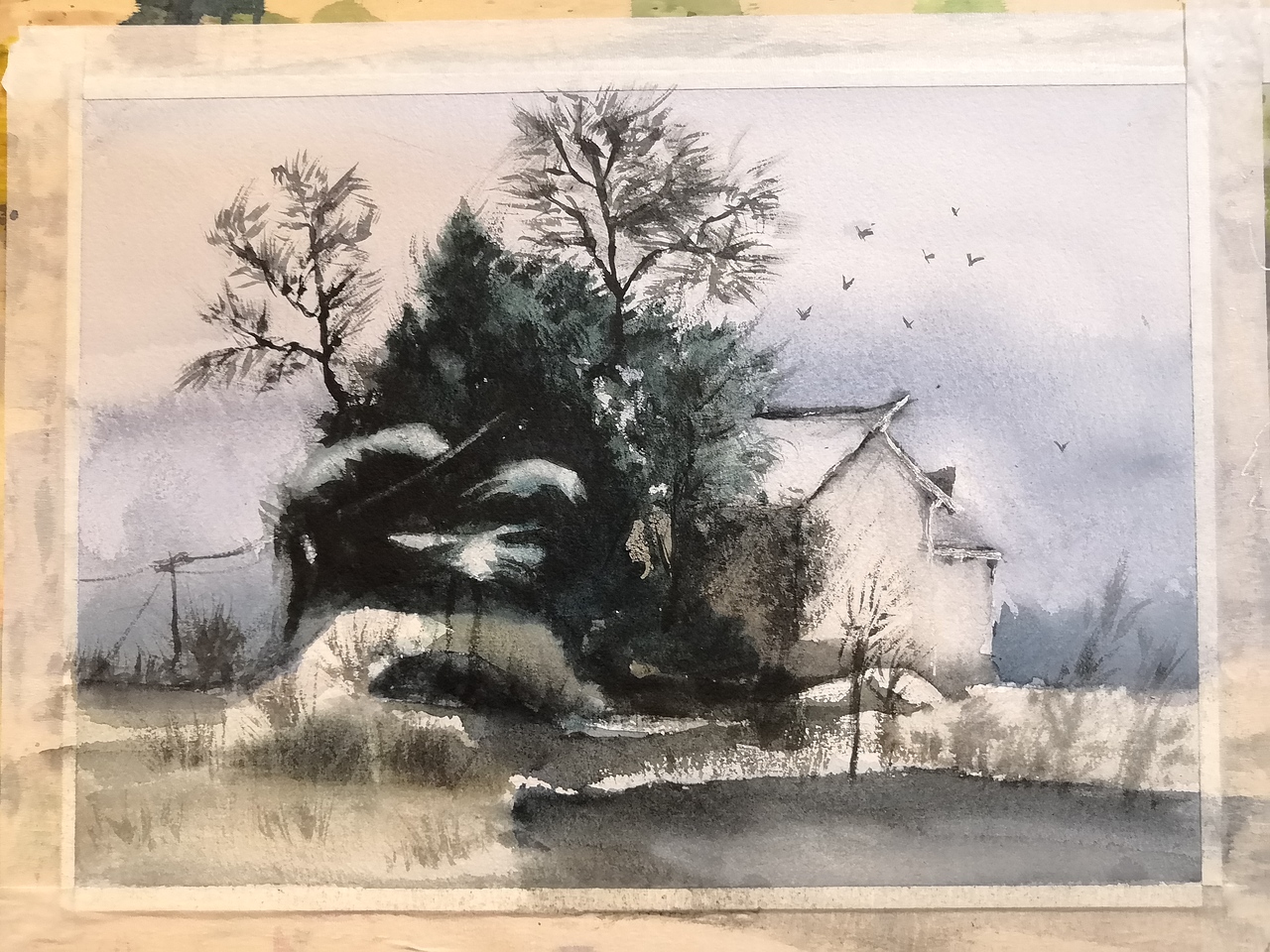 小白水彩成长记～（图ZMTk5Njg3NTY0） - 绘画 - 站酷设计师颜大翩原创素材 - 站酷ZCOOL